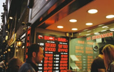 Dövizle Borçlanma ve Kur Riski 2025